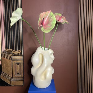Pode incluir: Um vaso de cerâmica abstrato creme segurando três flores de antúrio. As flores têm folhas verdes e espatas rosa e verdes. O vaso está em um suporte azul contra uma parede marrom.