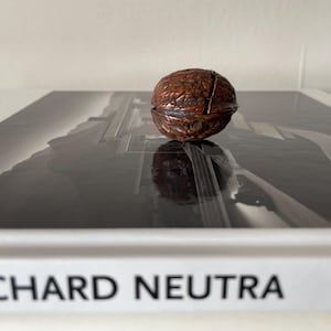 May include: A brown walnut shell, split open, rests on a book with the title "RICHARD NEUTRA" visible. The walnut's textured surface contrasts with the book's smooth cover. The image is in soft focus, creating a visually appealing composition.