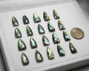 Faceted Labradorite Briolette Stones – Checker Cut Triangle Gemstones (10x25 - 17x40 MM)
