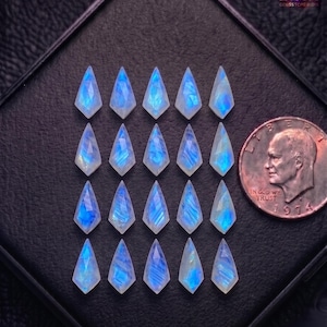 May include: Twenty teardrop-shaped moonstone gemstones with a blue and white iridescent glow are displayed on a black surface. A US quarter coin is placed next to the gemstones.