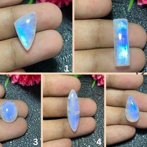May include: Five polished moonstone gemstones in various shapes: a triangle, a rectangle, an oval, an elongated oval, and a teardrop. Each stone displays a milky white base with iridescent blue and purple flashes.