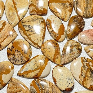 Bulk Picture Jasper Cabochons: Mix of Shapes and Sizes, Smooth Polished Picture Jasper Gemstone Lot, Perfect for DIY Jewelry, Wholesale Lot"
