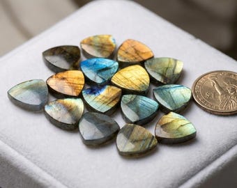 Natural Labradorite Trillion Discs, Flat Cabochons (8-30mm)