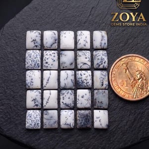 May include: Twenty rectangular dendrite opal gemstones with white backgrounds and black fern-like inclusions arranged in a grid. A copper-coloured one-dollar coin is placed to the right for scale. The logo Zoya Gems Store India is in the top right corner.