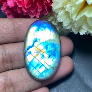 May include: Oval-shaped labradorite gemstone with a vibrant display of blue, yellow, and green iridescence. The polished stone is held in a hand, with pink and yellow flowers in the background. The gemstone's surface reflects light.