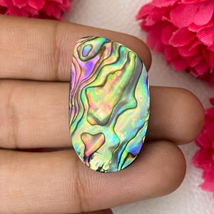 Classic Abalone Shell Handmade Cabochon | 19.50x34x6.50 MM | Natural Multi Colored Abalone Shell Fancy Shape Jewelry Making Loose Gemstone
