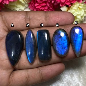 May include: Five polished labradorite gemstones in various shapes: teardrop, oval, and rectangular. The stones display iridescent blue and teal flashes. The gemstones are held in a hand, with a floral background.