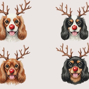 Download digitale istantaneo di Cavalier King Charles Spaniel di Natale Clipart di Cavalier Regalo per cani Mamma di cani Blenheim Tricolore Nero Rubino Immagini abbronzate