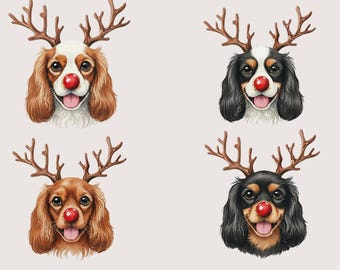 Weihnachten Cavalier King Charles Spaniel Sofortiger digitaler Download Cavalier Clipart Hundegeschenk Hundemama Blenheim Tri-Color Ruby Black Tan Bilder