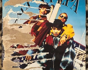 Salt N Pepa Very Necessary Vinyl LP Record 1993 G