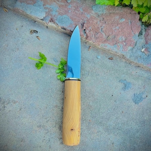 Handmade Viking Knife: Bog Oak Handle, High-Carbon Steel Blade
