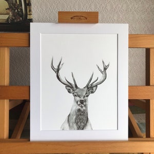 Stag Print
