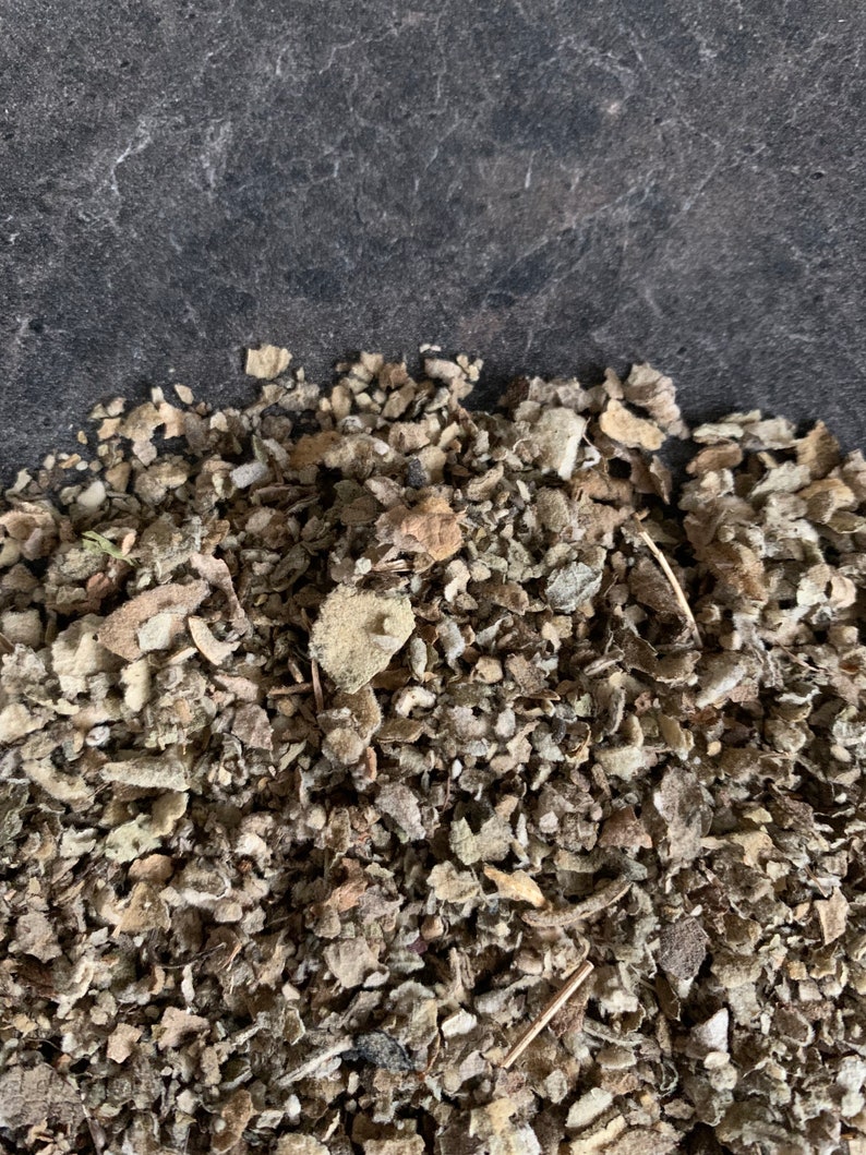 Mullein, Organic, Dried Herbs, Natural First Aid, Apothecary, Herbal Remedies, Herbs for Wounds, Infused Oil image 1