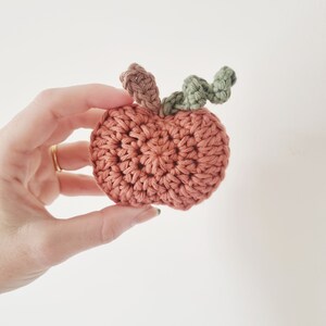 Small pumpkin crochet pattern pdf digital download zdjęcie 2