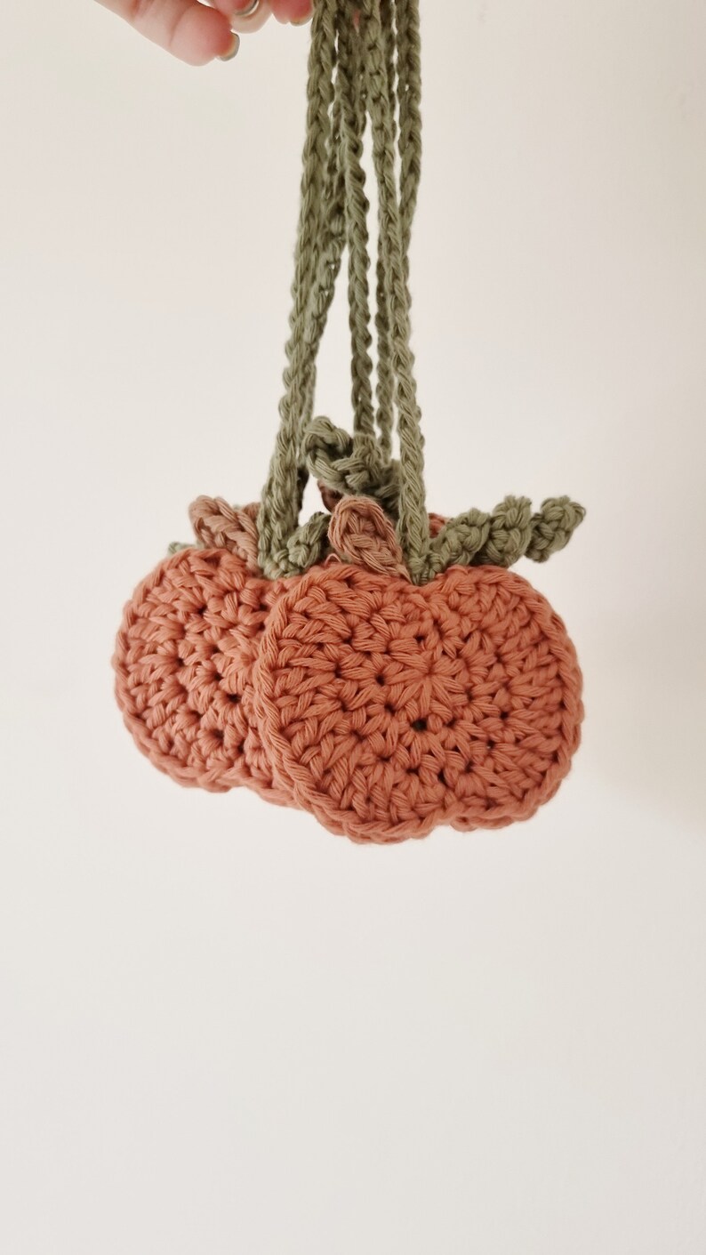 May include: Three crocheted peach-colored pumpkins with green crocheted stems hanging from a green crocheted cord.