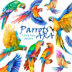 Parrots Clipart-Ara Parrot-Exotic Birds-Tropical Birds-Wings-Birds Clipart-Quick Download