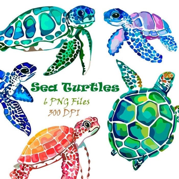 Clipart Sea Turtles Colored Turtles Sea Turtles PNG Digital Instant  Download - Etsy
