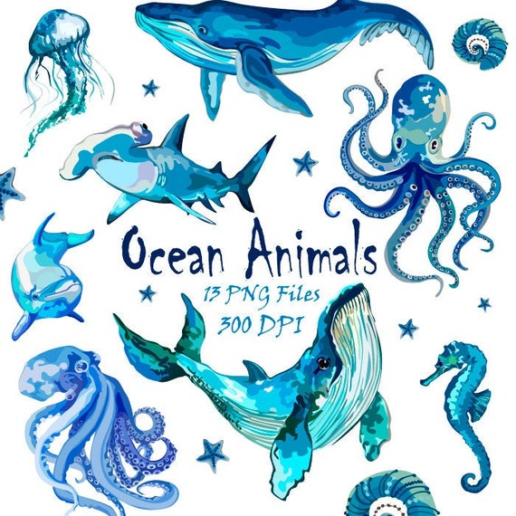 Ocean Animals-watercolor Sea - Etsy Ocean Animals-watercolor Sea - Etsy