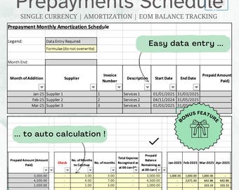 Prepayment Editable Tracker for Month-End & Year-End, Amortisation Schedule, Automated, Simple, Single Currency,  Instant Download, Excel