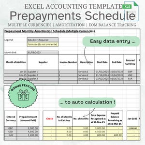 Prepayment Editable Tracker for Month-End & Year-End, Amortisation Schedule, Automated, Simple, Multi Currency, Instant Download, Excel