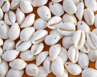 Concha de búzios grande, concha natural, decoração de praia, concha com furo único, contas de búzios, concha para dinheiro, arte, concha solta para artesanato.