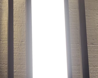 Indoor/Outdoor Framework Wall Sconce in Black