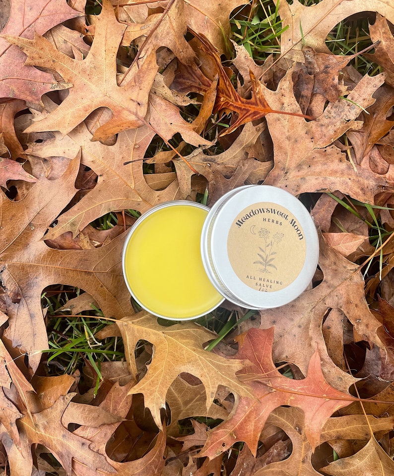 All Healing Salve dry skin hand balm calendula moisturizing herbal infused organic natural wild-foraged image 3