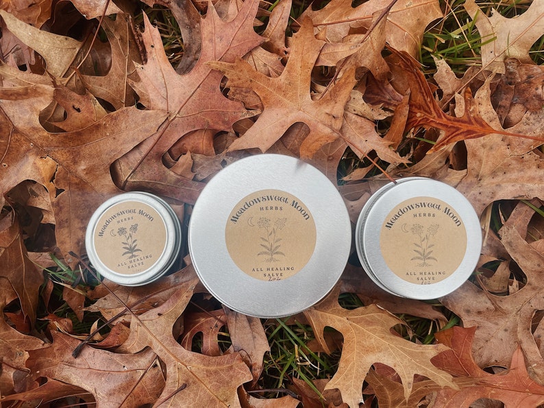 All Healing Salve dry skin hand balm calendula moisturizing herbal infused organic natural wild-foraged image 1