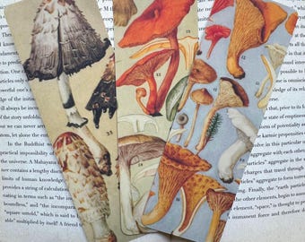 Vintage Mushroom Bookmark Set | Mushroom Lover | Nature Bookmark | Vintage Gifts | Gift for Readers | Mushroom Gift | Book Accessories