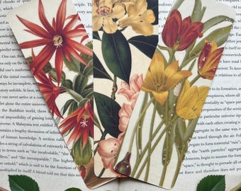 Vintage Botanical Bookmark | Floral Bookmark | Vintage Aesthetic | Dark & Light Academia | Plant Lover Gift | Book Gift | Cottagecore Gifts