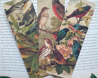 Vintage Bird Bookmark | Animal Bookmark | Nature Bookmark | Vintage Aesthetic | Vintage Gift | Cottagecore | Book Lover Gift | Bird Lover