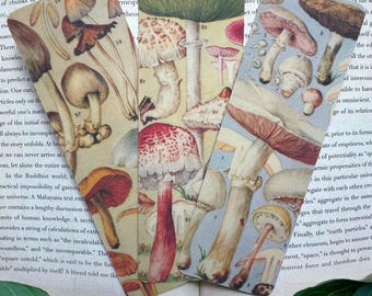 Vintage Mushroom Bookmark Set | Cottagecore Bookmark | Mushroom Lover | Mushroom Art | Mushroom Gift | Book Lover Gift | Science Bookmark