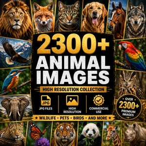 Puede incluir: Una colección digital de imágenes de animales, incluyendo un león, un zorro, un gato, un perro, un caballo, un lobo, un águila, un loro, un búho, un elefante, un leopardo, una mariposa, un tigre, un panda, una jirafa y un rinoceronte. El texto "2300+ IMÁGENES DE ANIMALES" está presente.