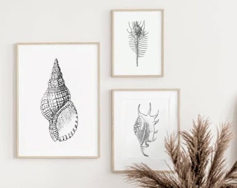 Seashells Art Print: Minimalist Marine Life B&W Poster (Digital Download)