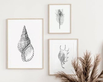 Seashells Posters, Seashells Prints, Bathroom Decor, Marine Art, Sea Life Art, Sea, Minimal Art, Minimal, Home Decor, Wall Art, B&W Poster