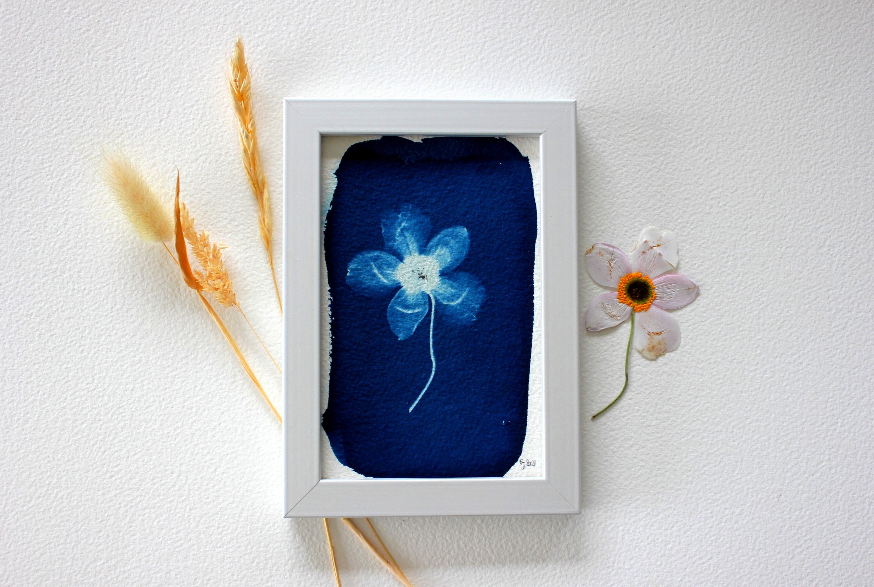 Cyanotype - Anémone Du Japon Création Unique et Originale