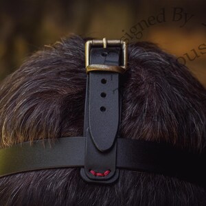 May include: Black leather headband with a brass buckle and red stitching. The headband is adjustable and can be worn on the head or forehead.
