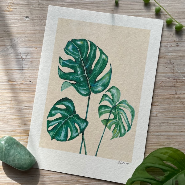 Art Print “Monstera Plant” of a hand painted watercolor illustration by Raissa Oltmanns