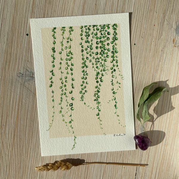 Art Print „Senecio“ einer Erbsenpflanze • Aquarell • Illustration von Raissa Oltmanns