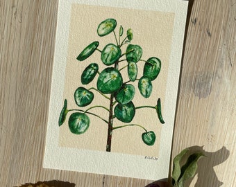 Art Print „Pilea“ Pflanze • Aquarell • Illustration von Raissa Oltmanns