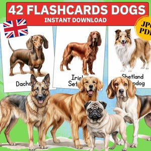 dog breeds montessori homeschool, breeds of dogs coloring nomenclature flashcards, nomenclature cards learning cards kids animal flash cards