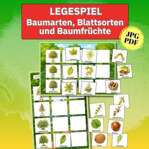 Könnte beinhalten: Ein Legespiel zu Baumarten, Blattsorten und Baumfrüchten. Das Lernset enthält druckbare Karten mit Illustrationen verschiedener Bäume, Blätter und Samen, die mit deutschem Text beschriftet sind. Ein gelbes rundes Abzeichen weist auf JPG PDF hin.