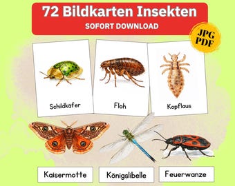 Picture cards insects, children's toys, flashcards Montessori learning cards, picture cards microcosm, watercolor cards garden animals