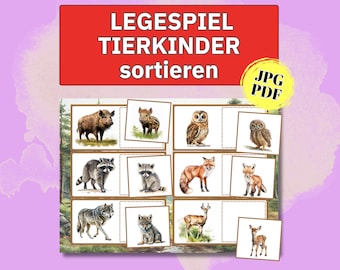 Sorting game for baby animals, kindergarten ideas, animal babies, children's learning game, wildlife, preschool learning material, matching games, animal cards