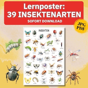 Insekten Lernposter download, Lernmaterial Montessori Kinderzimer Wanddeko, Kita Plakat Kita Wandposter, Insekten Poster Kinderzimmer pdf