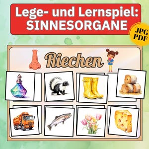 Sinnesspielzeug Sortierspiel Montessori Material Kindergarten, Legespiel Lernspielzeug Sinnesspiele Legespiel Bildkarten Kita Sinne Spiel