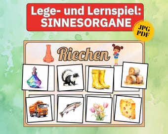 Juego de clasificación de juguetes sensoriales, material Montessori para jardín de infancia, juego de colocación, juguete educativo, juegos sensoriales, juego de colocación, tarjetas con imágenes, juego sensorial para guardería