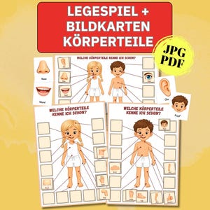 Anatomie Bilder Kindergarten Lernmaterial Körperteile Zuordnungsspiel Legespiel Kinder Sortierspiel Montessori Kita Vorschule Spiele Schule