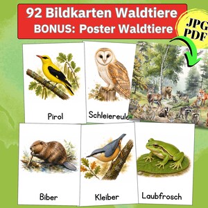 Könnte beinhalten: Ein Set aus 92 Bildkarten mit Illustrationen von Waldtieren wie Pirol, Schleiereule, Biber, Kleiber und Laubfrosch, inklusive eines Bonus-Posters im JPG- und PDF-Format, wobei alle Karten mit den entsprechenden deutschen Namen beschriftet sind.