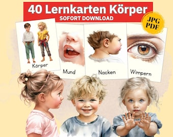 Learn body parts with Montessori picture cards, 40 learning cards for children, my body flash cards, learn the human body PDF download
